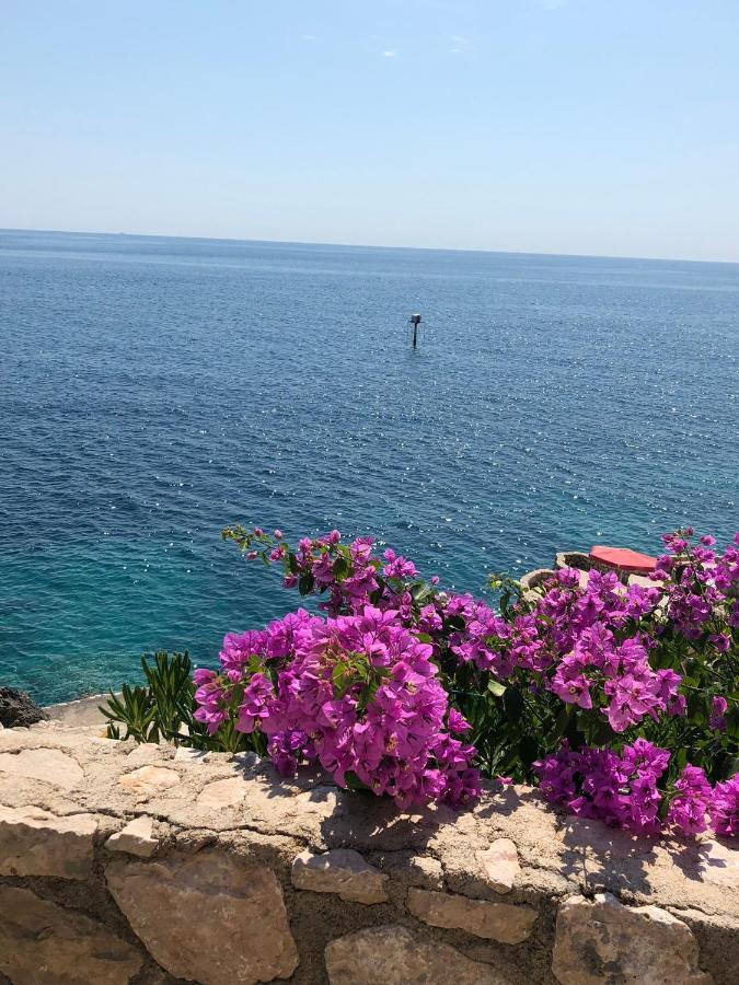 ドプラー・ヴォダMontenegro - South Crossアパートメント エクステリア 写真