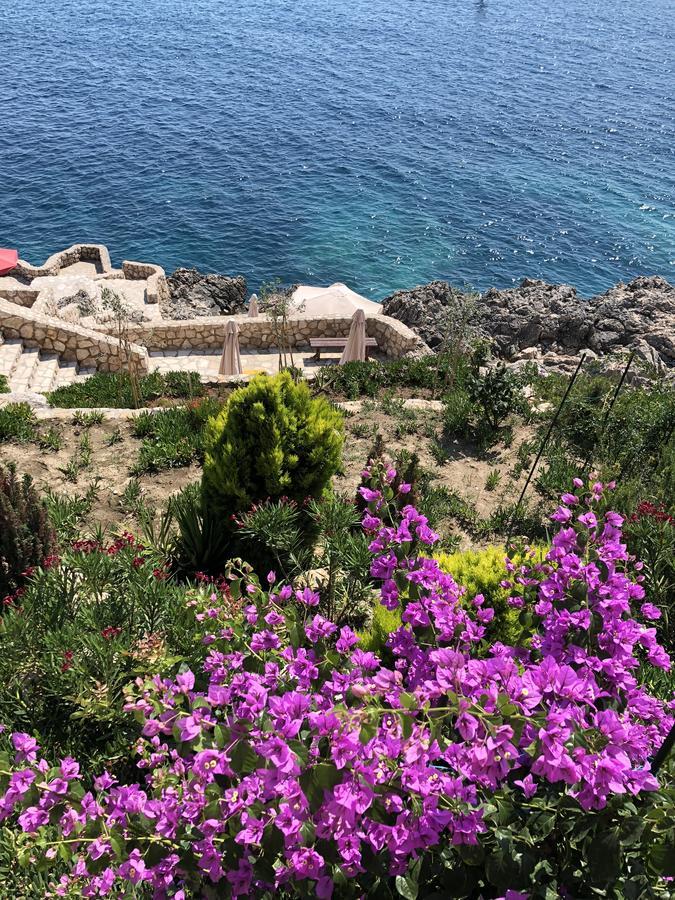 ドプラー・ヴォダMontenegro - South Crossアパートメント エクステリア 写真